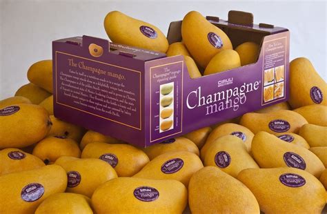 Champagne mangos - As a source of fiber, eating mangos makes it super easy to get in some of that daily fiber. A 3/4 cup (one serving) of mango contains 2g. of fiber. And while you’re at it, you’ll also be consuming 50 percent of your daily vitamin C, 8 percent of your daily vitamin A and 15 percent of your daily folate – all in just 3/4 cup of mango.